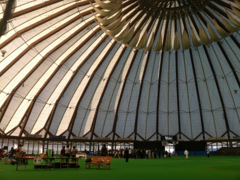 Izumo Dome, Kashima