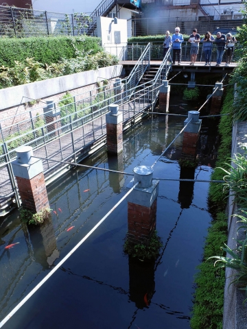 Stockage d'eau d'Alfred Gérard