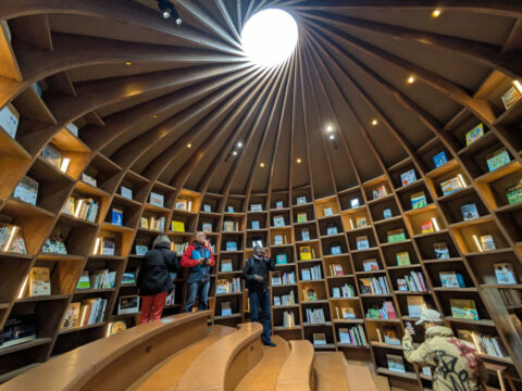 Library in the Eearth