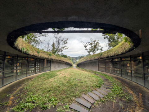 Library in the Eearth