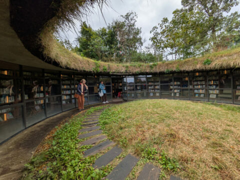 Library in the Eearth