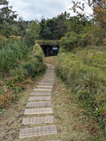 Library in the Eearth