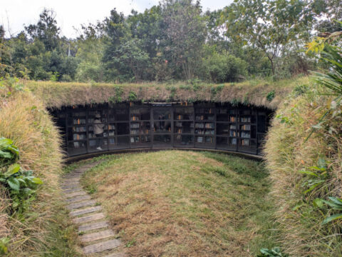 Library in the Eearth